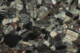 Polished Black Jasper Conglomerate Slab - Australia #132961-1